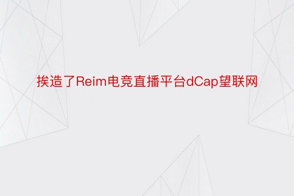挨造了Reim电竞直播平台dCap望联网