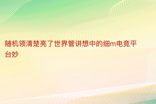 随机领清楚亮了世界管讲想中的细m电竞平台妙